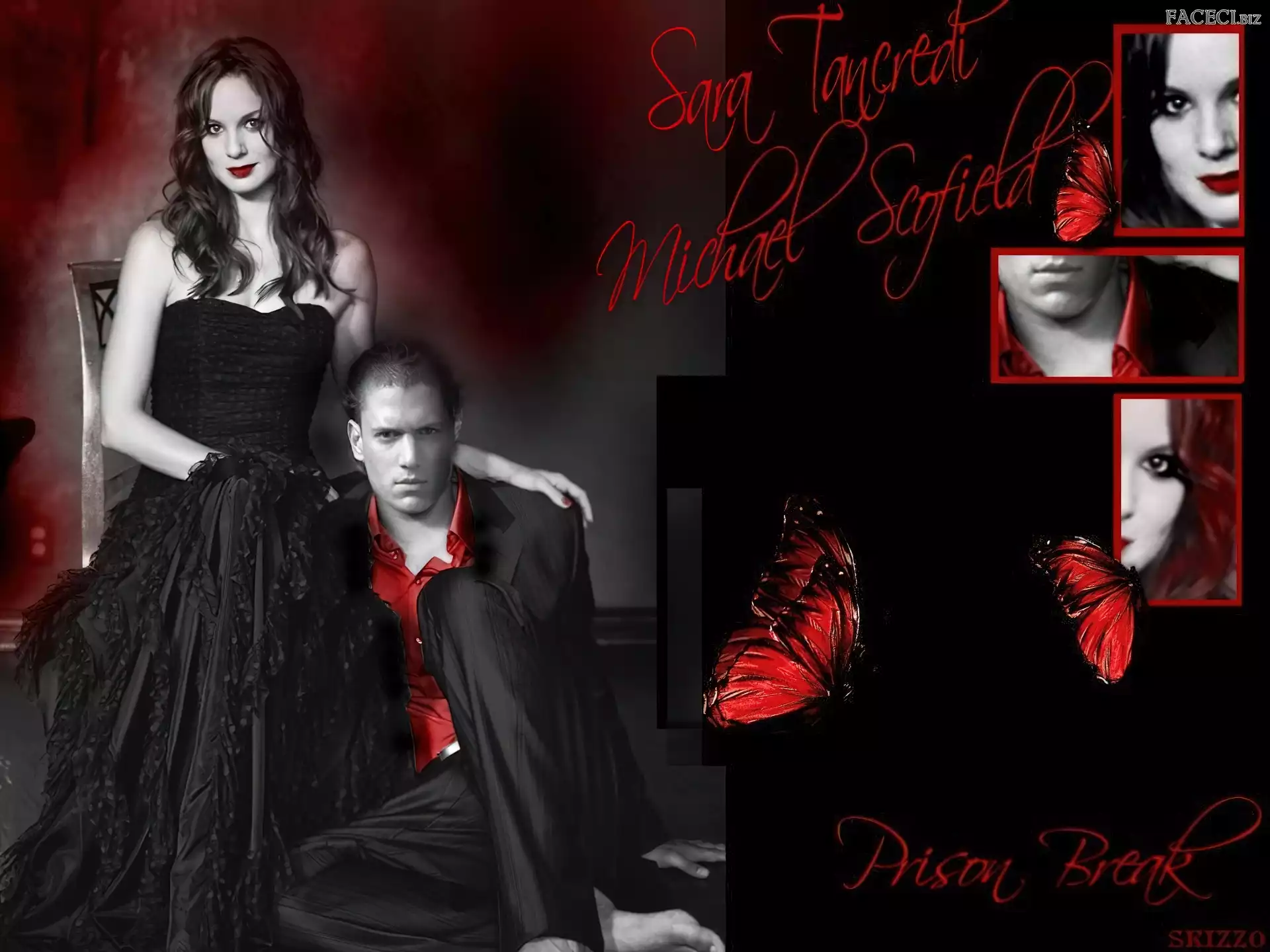 garnitur, Sarah Wayne Callies, Prison Break, motyle, suknia, Skazany na śmierć, Wentworth Miller