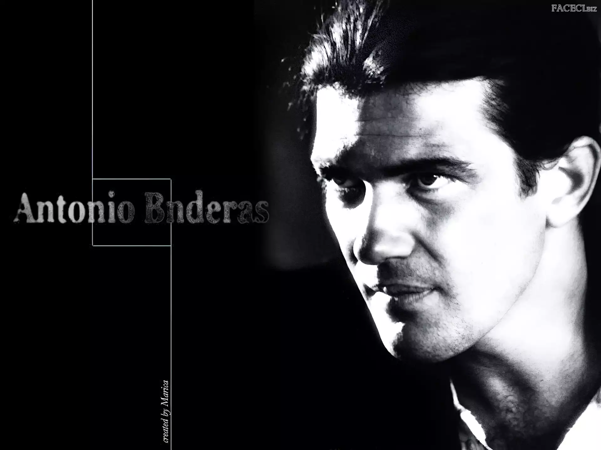 włosy, Antonio Banderas, ciemne