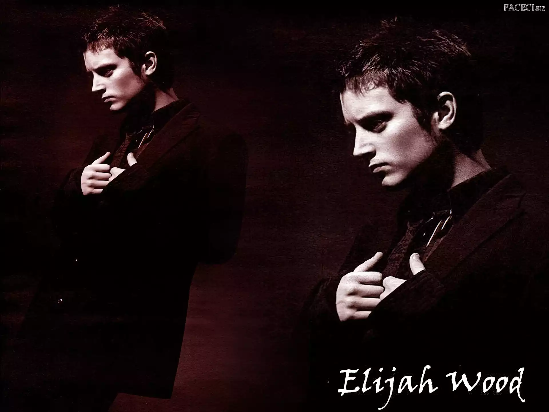 twarz, Elijah Wood